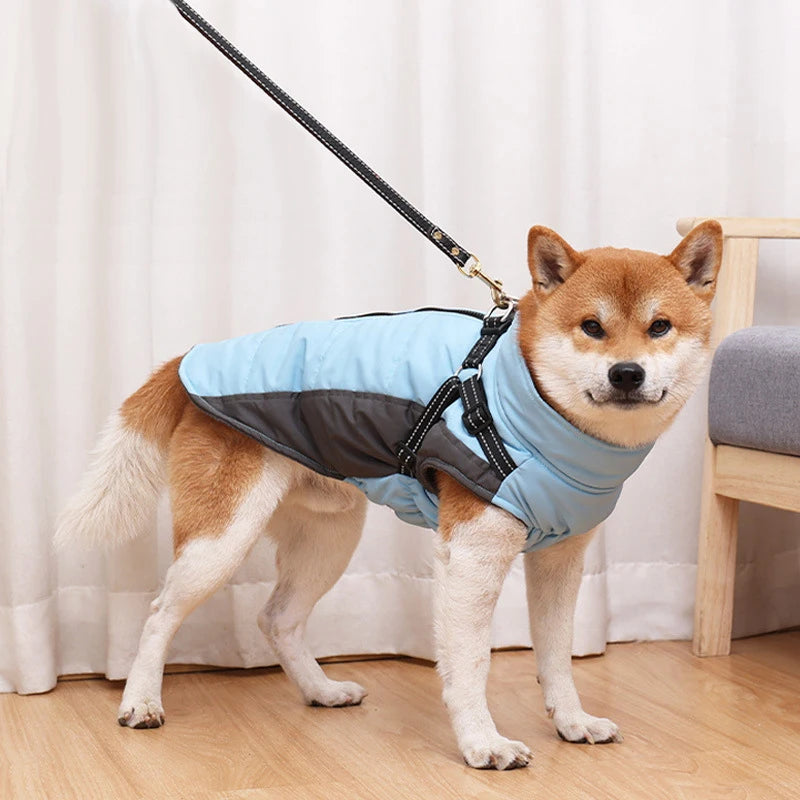 Manteau d'hiver pour chien – doublé polaire, imperméable et réfléchissant